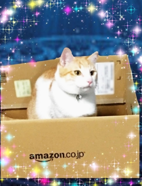 20191026141942782.jpg