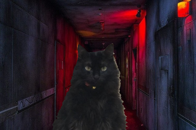 20191026151933947.png