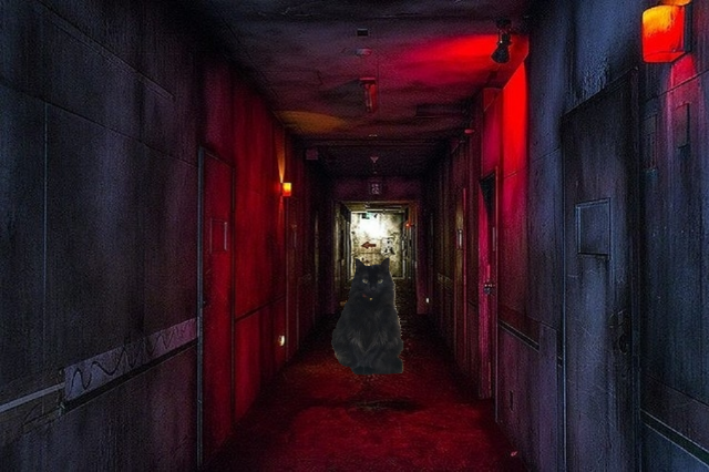 20191026151954850.png