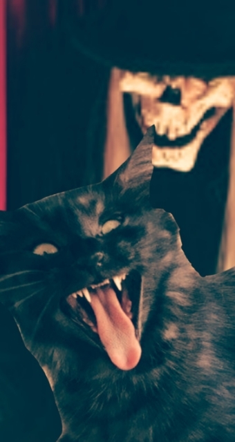 20191030142313593.jpg
