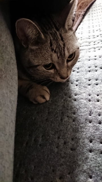 20191108135540328.jpg