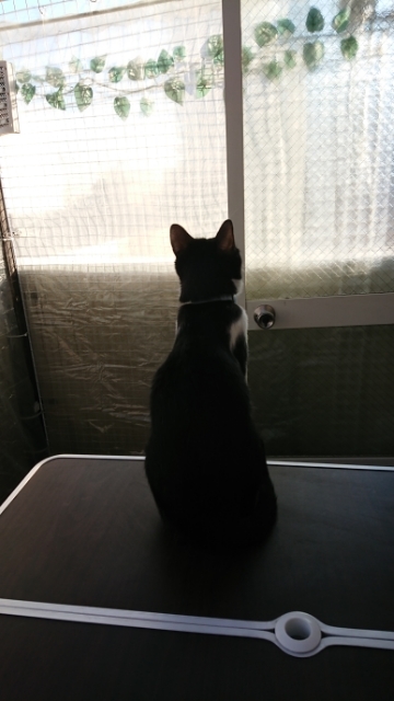 20191201225203255.jpg